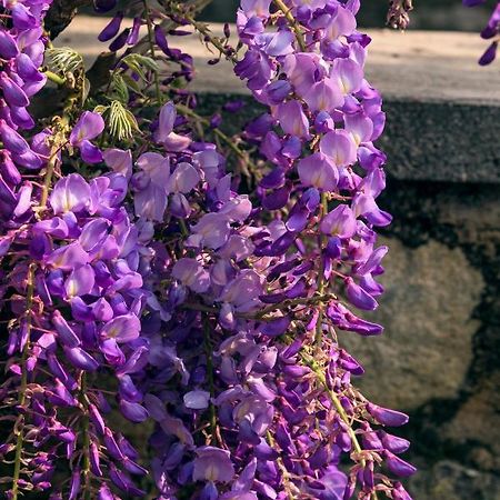 Il Glicine B&B Ristorante Cazzago San Martino Buitenkant foto